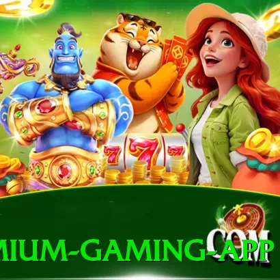 1200win Premium Gaming App - app